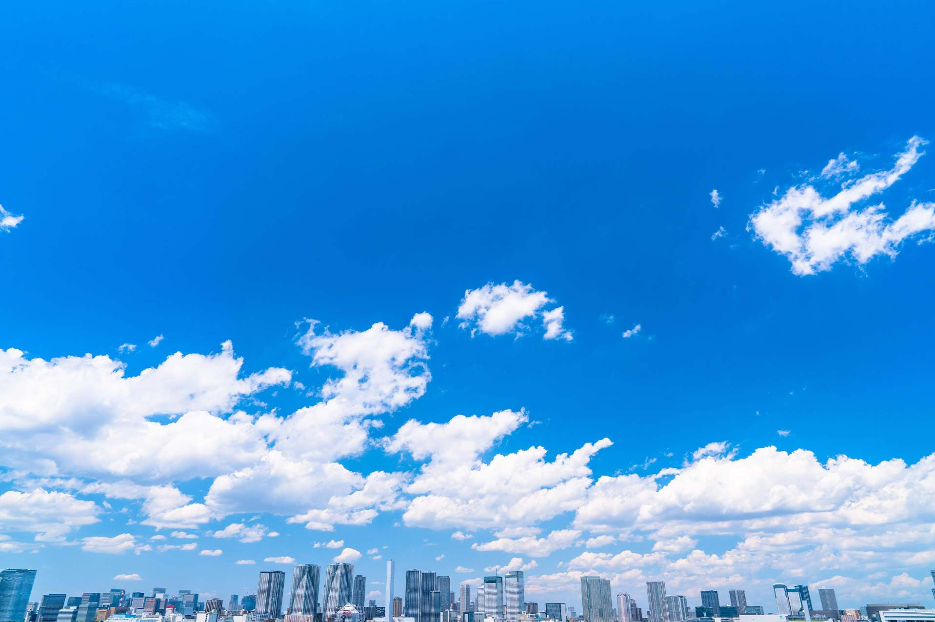 ヤネヤコーチング